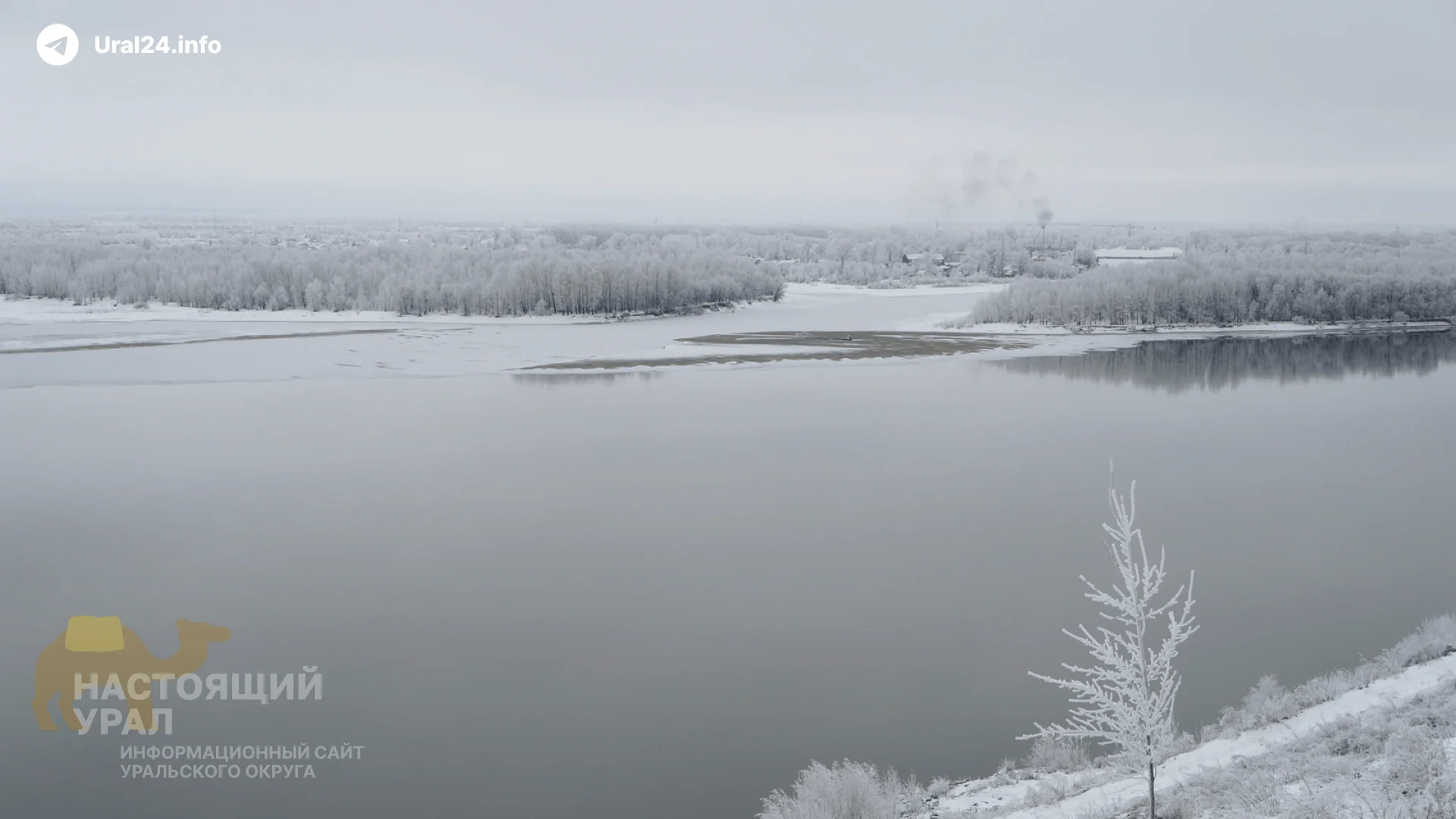 Чиновники планируют перекачивать воду из Оби зарубеж