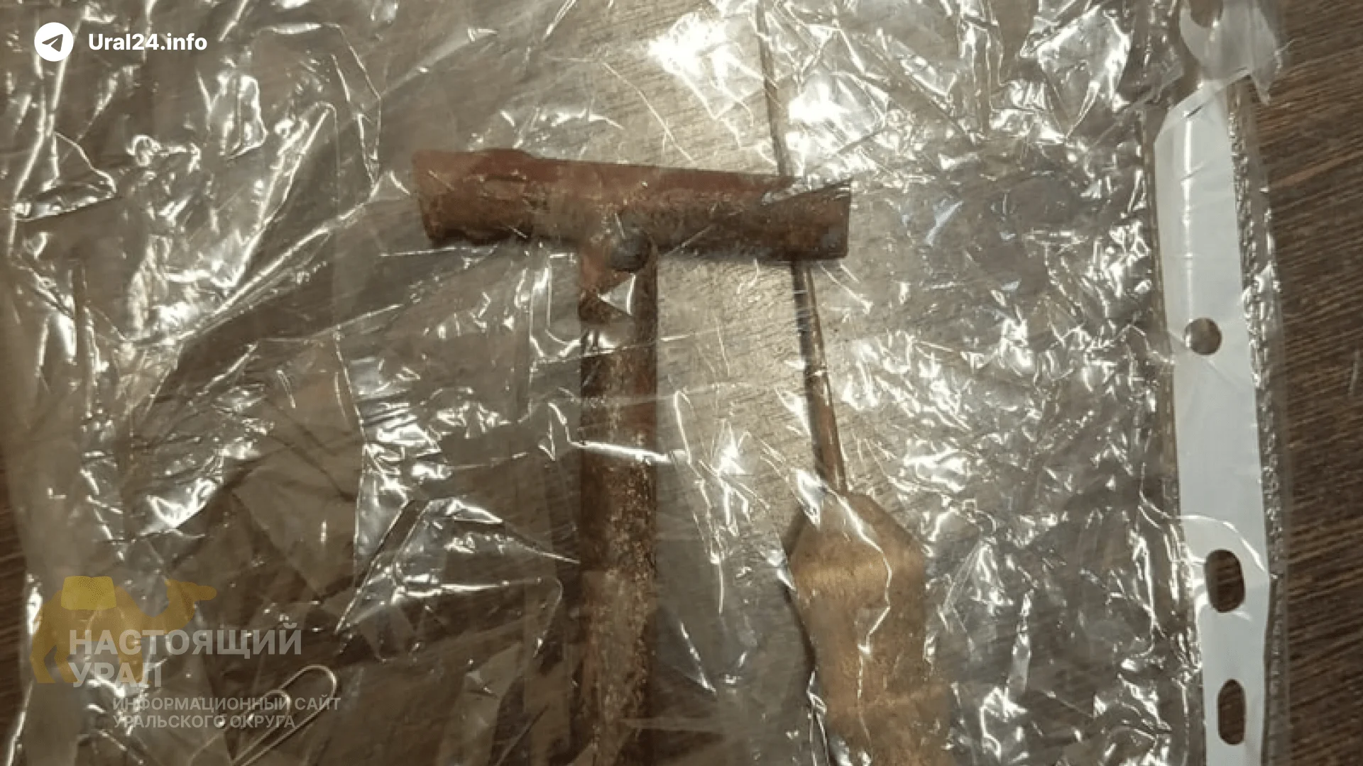 В&nbsp;курганской колонии предотвратили захват заложников
