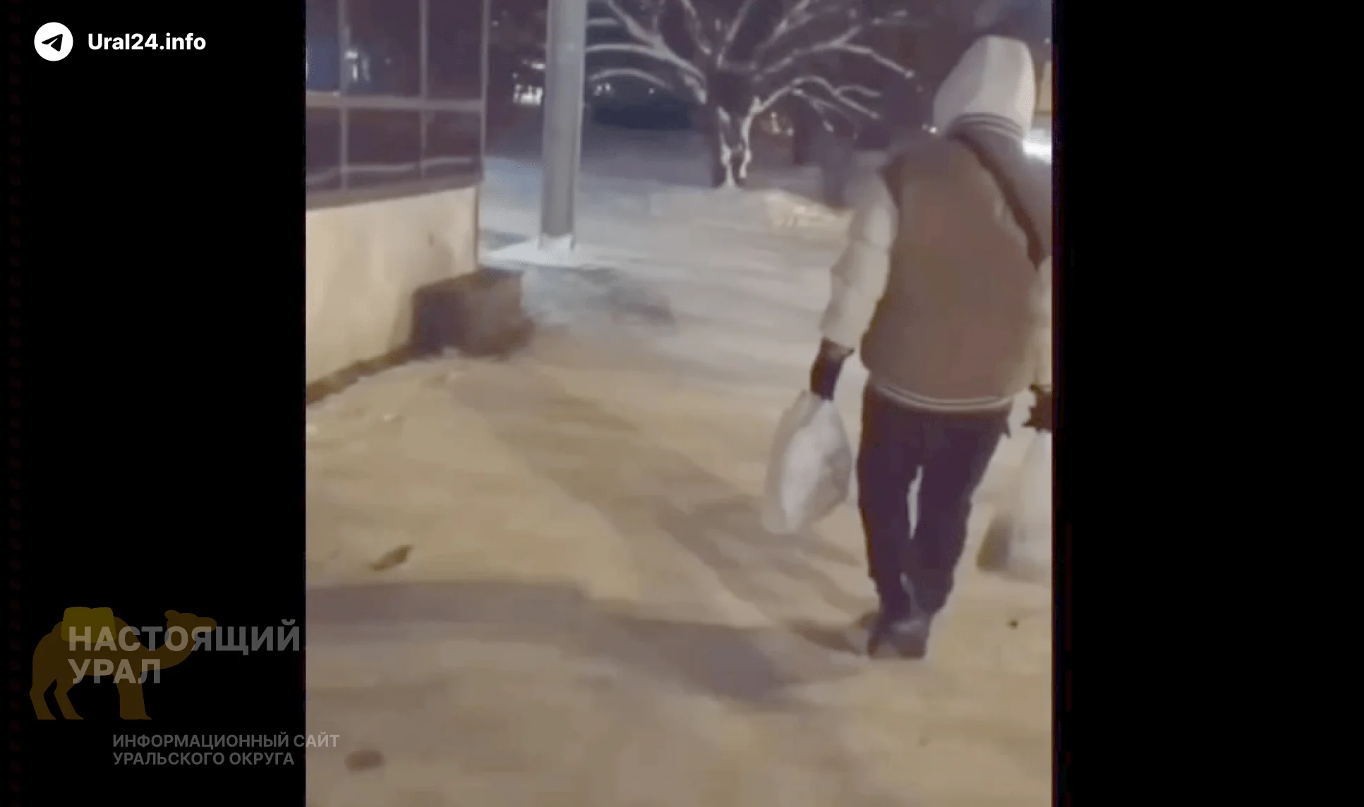 В сети появилось видео жестокого нападения в Екатеринбурге