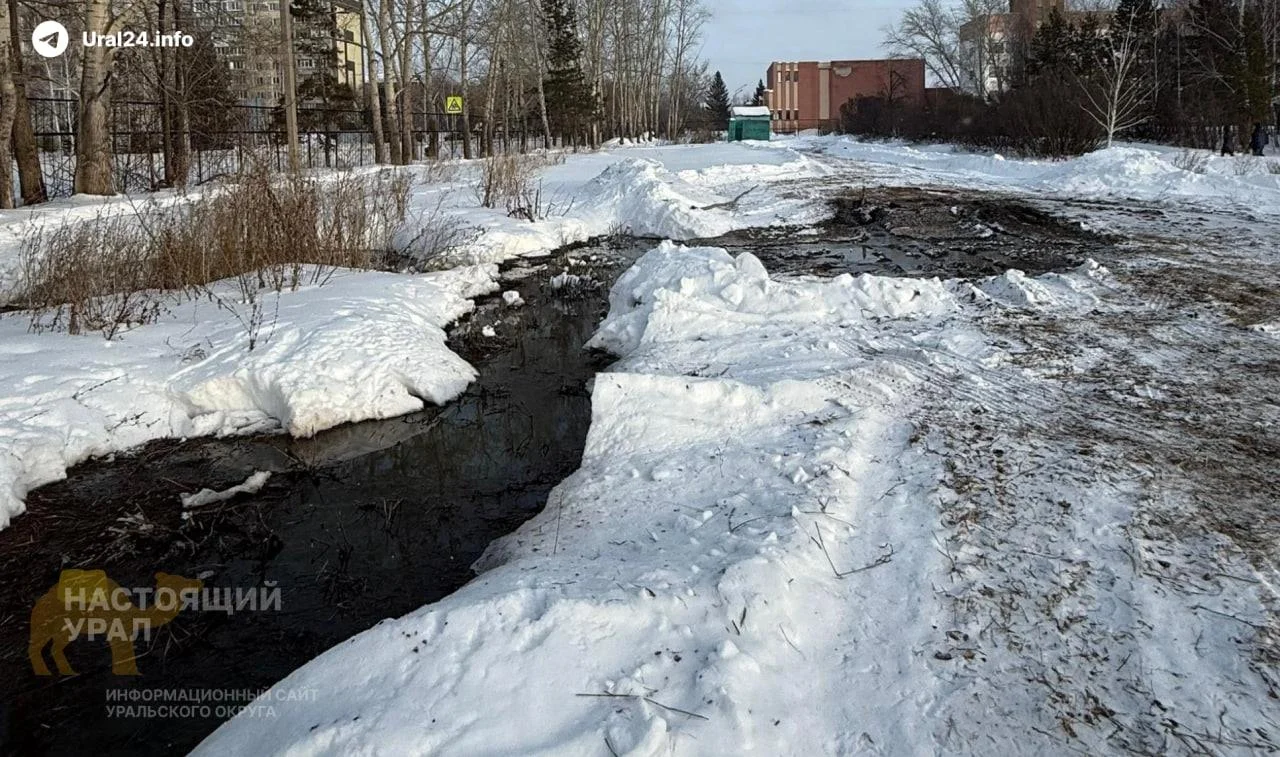 Студгородок утонул в нечистотах