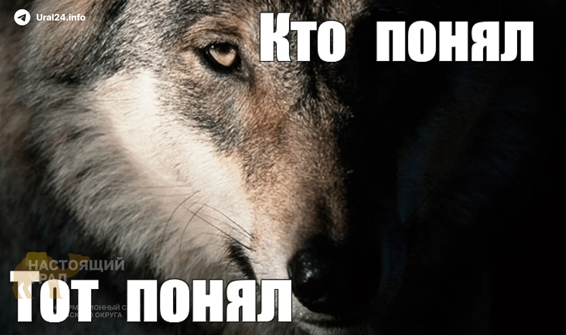 Жительницу Тюмени оштрафовали за сохранёнку в VK