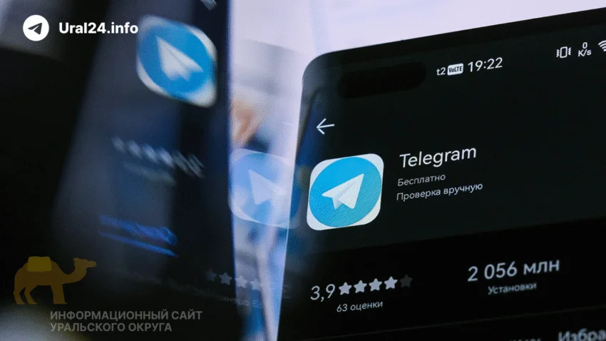В&nbsp;Тюмени 19‑летней девушке грозит до&nbsp;7&nbsp;лет&nbsp;за&nbsp;посты в&nbsp;«Telegram»