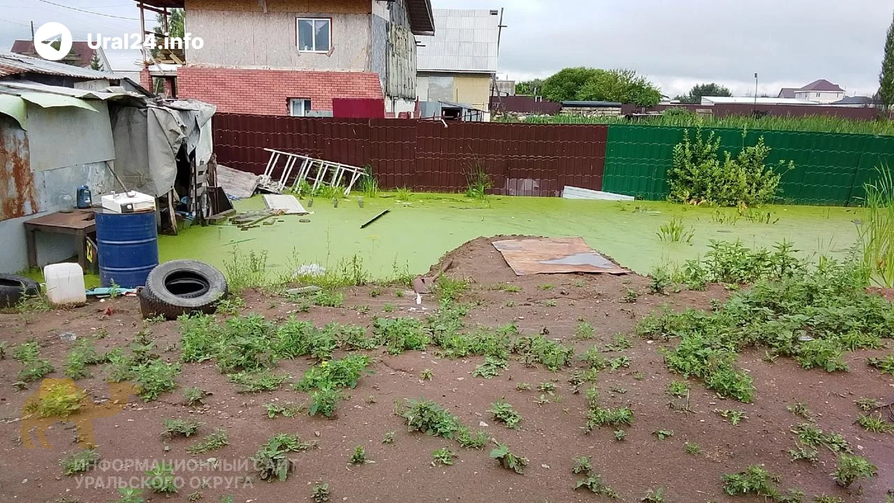 Черновик