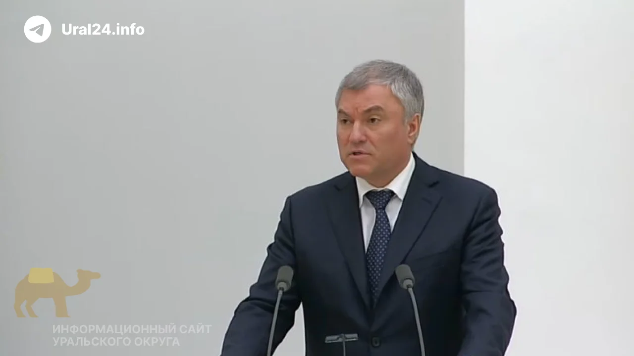 Военные сборы вместо отпусков предложил организовать для депутатов Володин