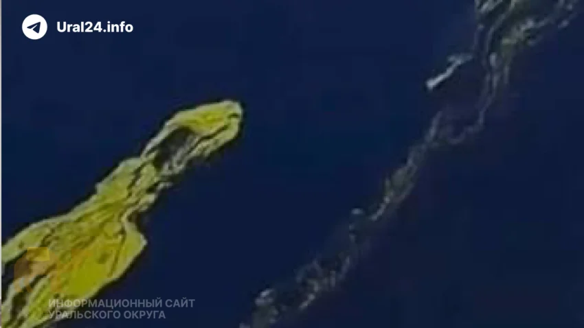 Тюменцы покидают город из‑за&nbsp;опасной воды