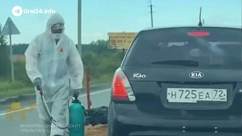 В&nbsp;Тюменской области жгут свиней