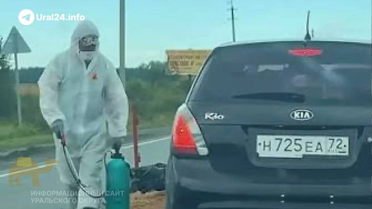 В&nbsp;Тюменской области жгут свиней